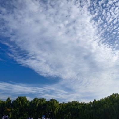 闯中国使馆的日本自卫队人员已被捕